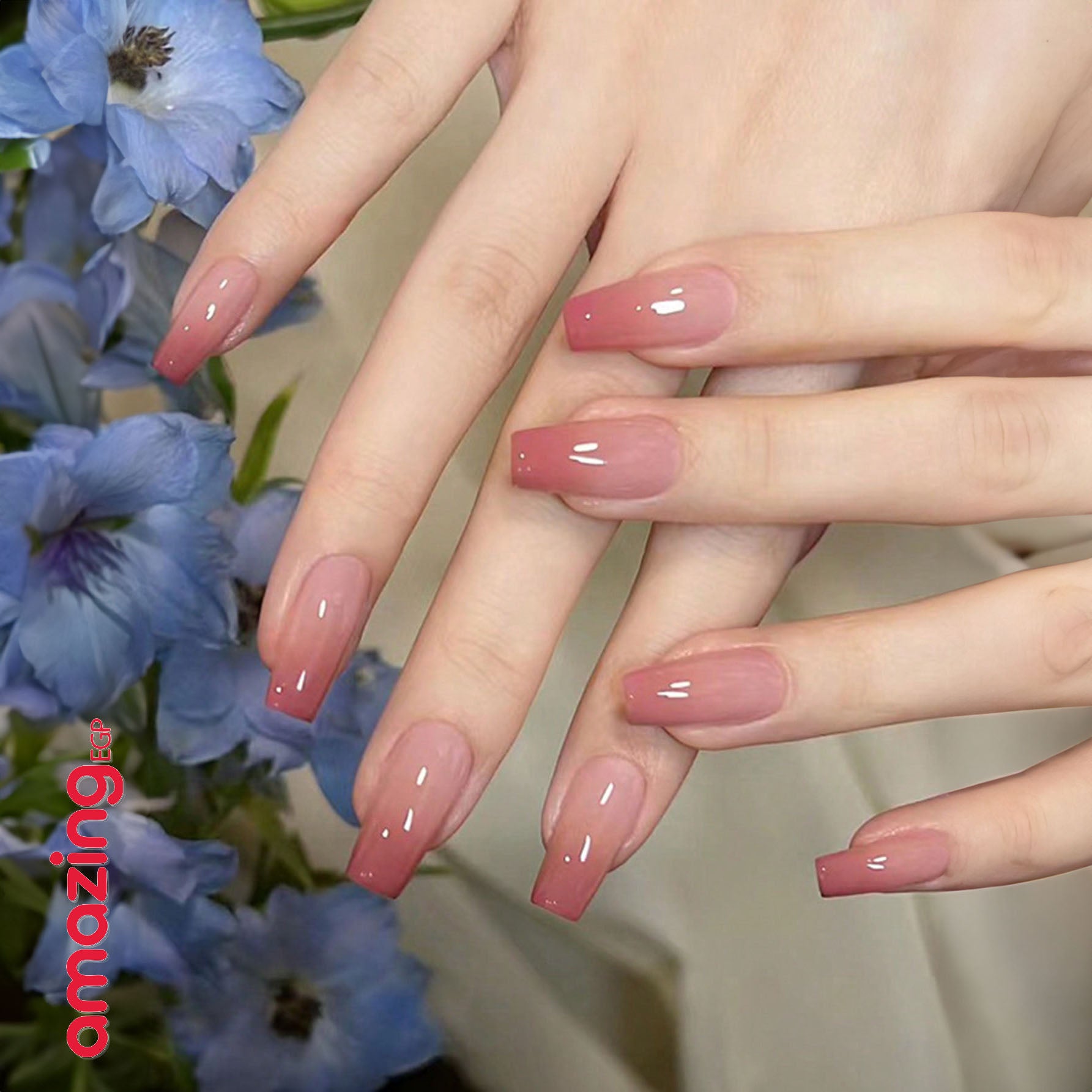 أظافر ضغط قابلة لإعادة الاستخدام – 24 قطعة شكل تابوت طول متوسط بتدرّج خوخي + لاصق جيلي ومبرد صغير