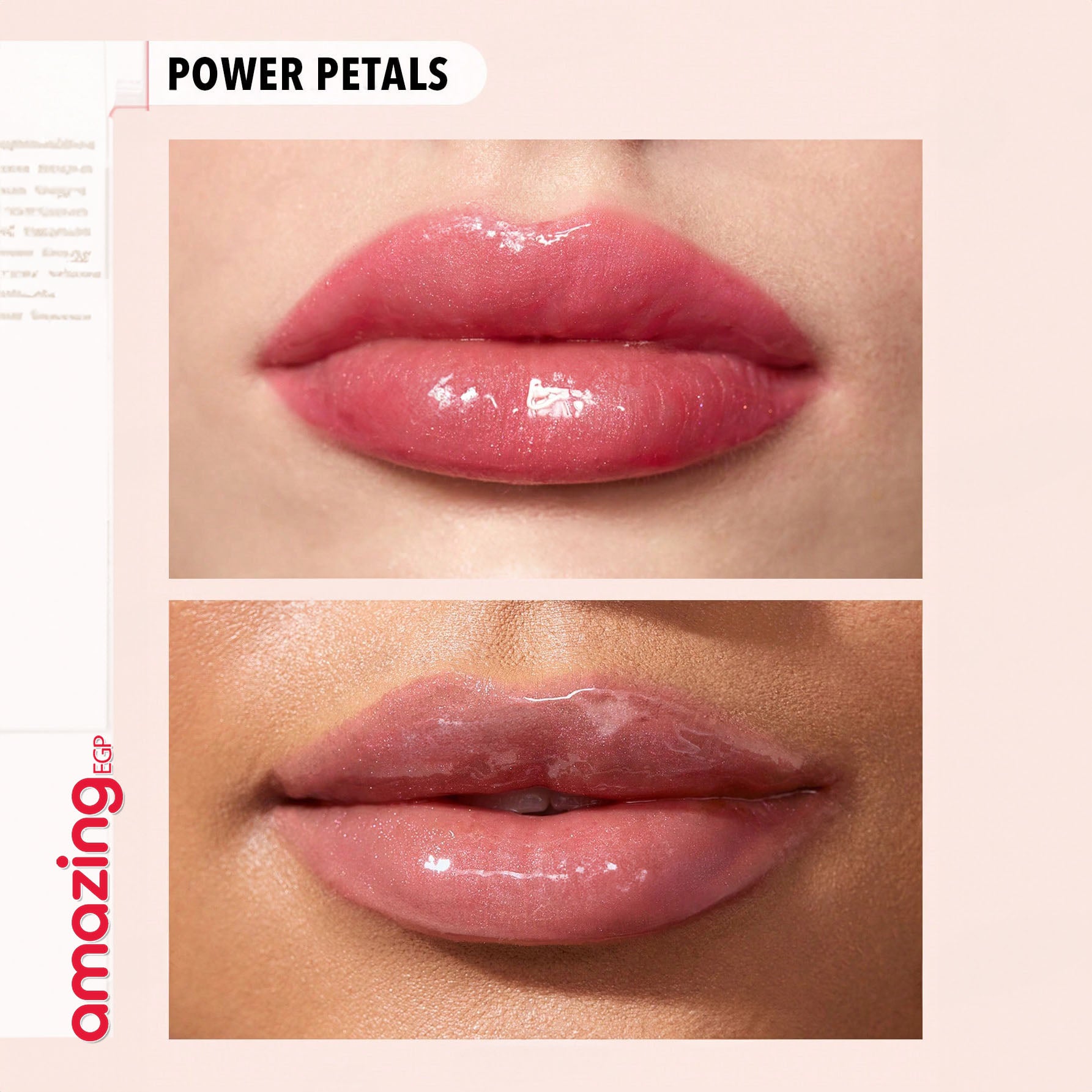 SHEGLAM ملمع شفاه  Power Bouquet لامع مثالي وممتلئ بلون بنفسجي لامع ومرطب وممتلئ ومصل شفاه مغذي وممتلئ غير لاصق وأحمر شفاه بزيت جوز الهند ومستحضرات تجميل الشفاه ومغذي يدوم طويلا |  Power Petals