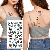 وشم مؤقت ضد الماء – فراشات ملونة بتصميم كلاسيكي (ورقة واحدة) - M159